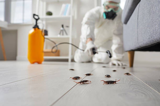 Commercial Kitchen Cockroach Control in Wagoner